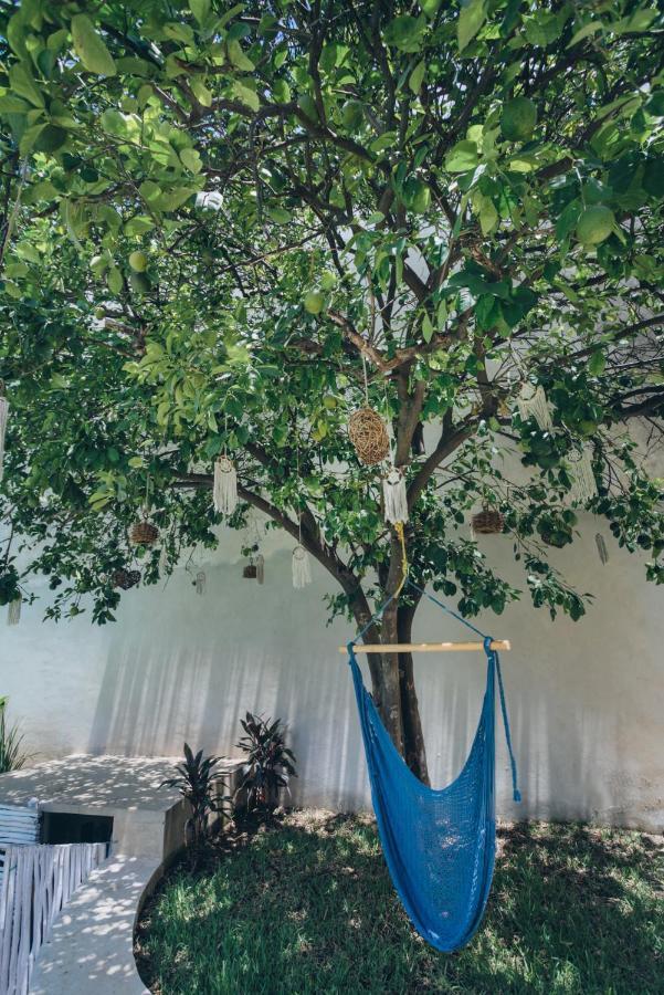 Villaboha Merida Bagian luar foto